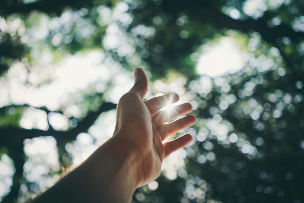 pexels-photo-1654698-1654698 A hand reaching towards the sky, capturing sunlight in a lush forest setting.